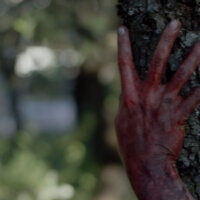 Compulsion – Bild 8