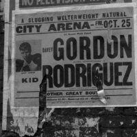 Der Tiger von New York – Bild 6