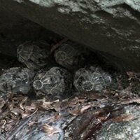 UFO – Es ist hier – Bild 5