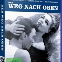 Der Weg nach oben – Bild 2
