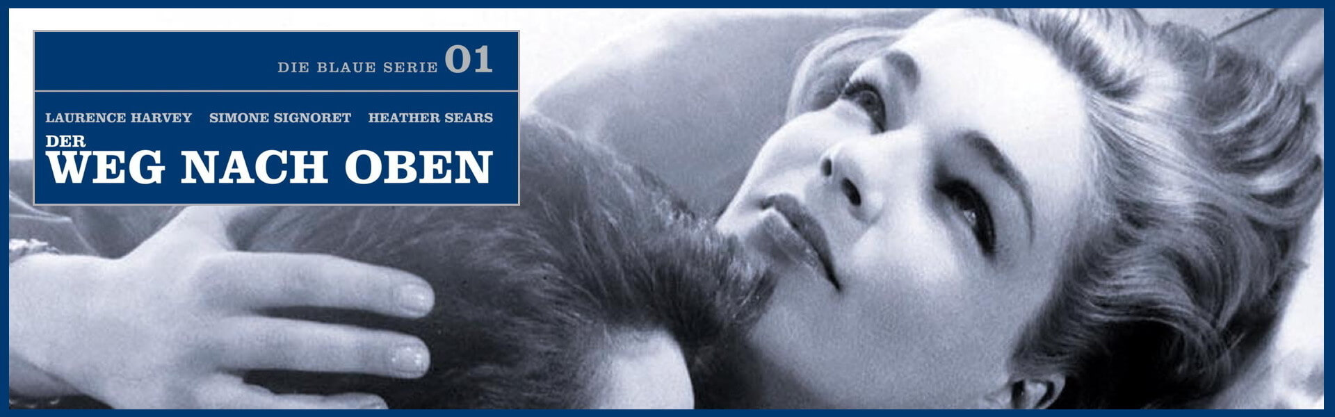 B Der Web nach oben DVD