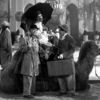 The Marx Bros. – Eine Nacht in Casablanca – Bild 9