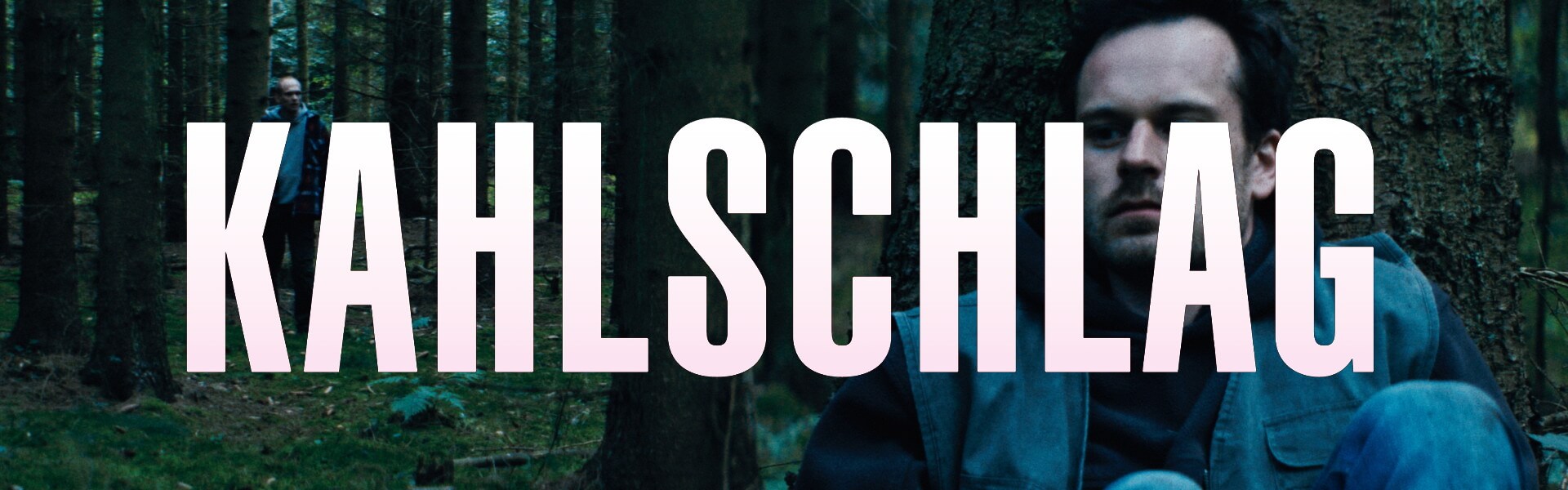 B Kahlschlag 01