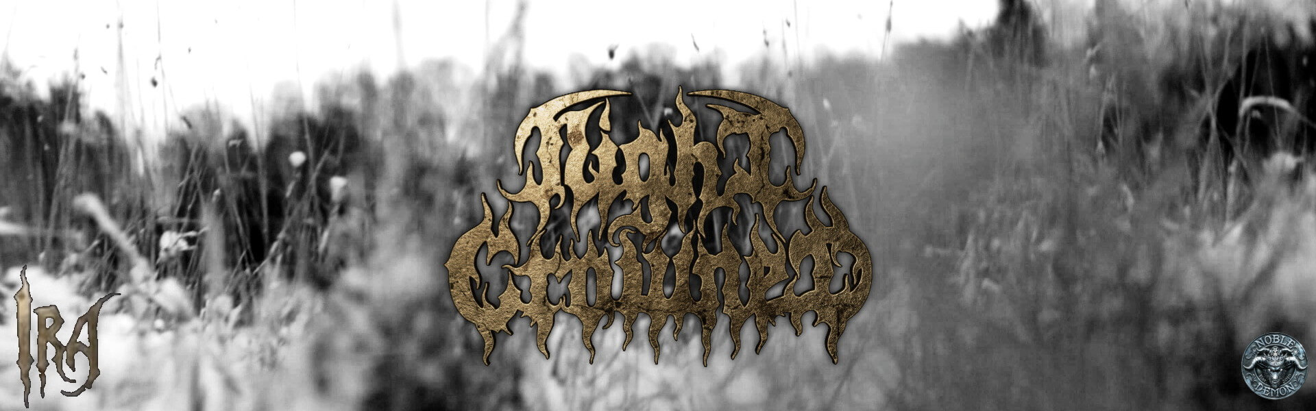 B Night Crowned – IRA teaser still