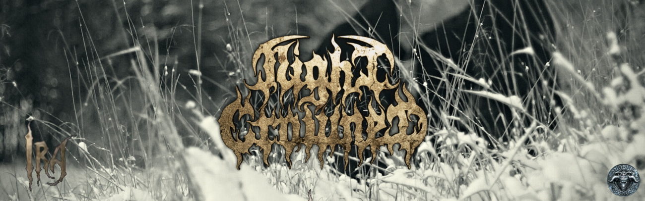 B Night Crowned – Ira