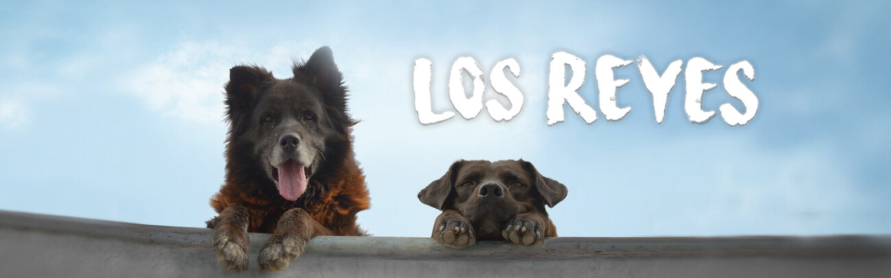 los-reyes-banner-artwork
