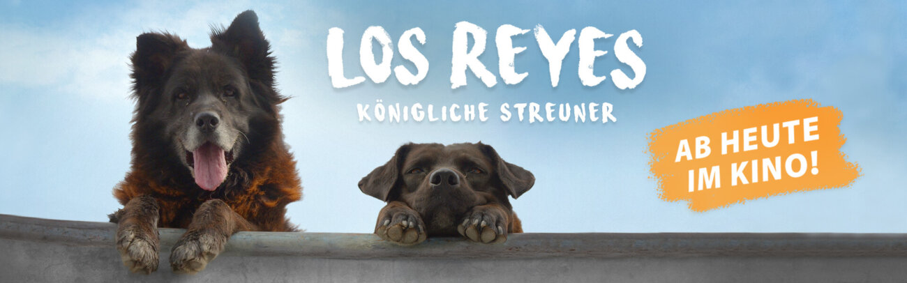 Los Reyes – Banner – Kinostart