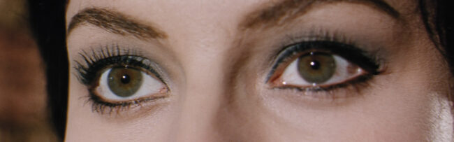 Django_EinSargEinVollBlut_Banner19