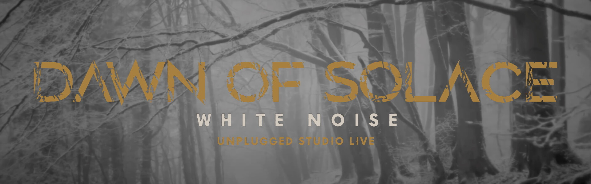 B Dawn of Solace – White Noise Unplugged