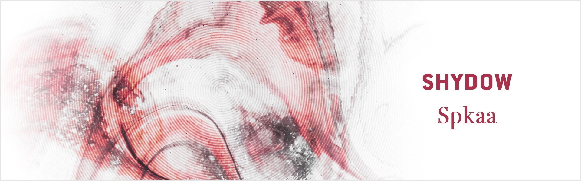 B Shydow – Spkaa Single