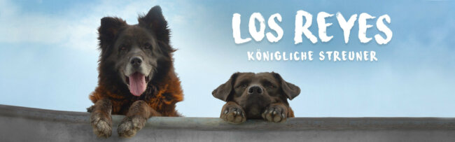 B Los Reyes – Königliche Streuner
