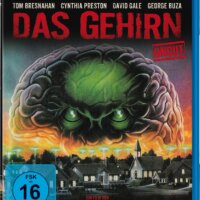 Das Gehirn – Bild 3