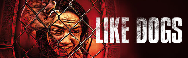 Like Dogs Banner Artwork