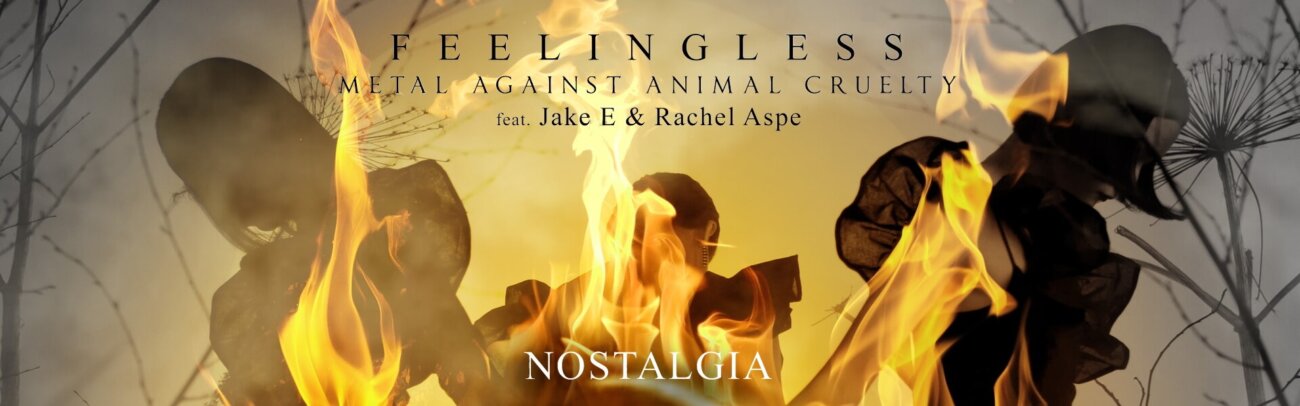 B Feelingless – Nostalgia
