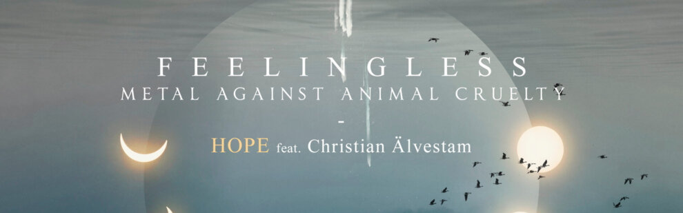 B Feelingless – Hope