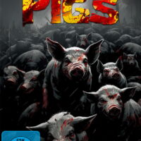 Pigs