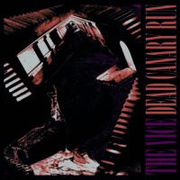 The Vice - Dead Canary Run