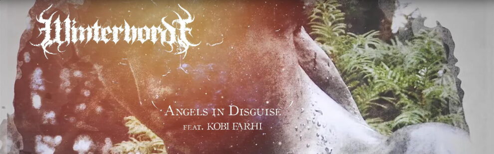 B Winterhorde – Angels in Disguise