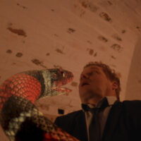 Monsternado – Bild 9