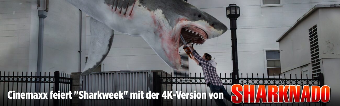 B Sharkweek 2024