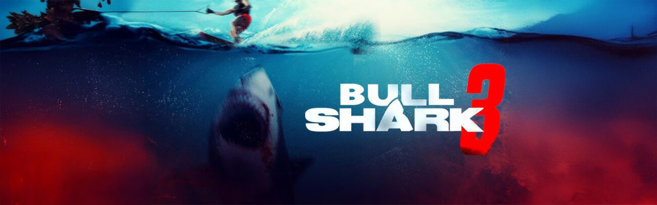 B Bull Shark 3