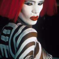 Vamp – Bild 7