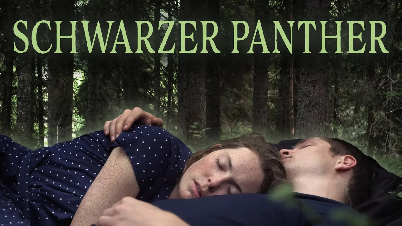 YT Top10 2025q1 Swarzer Panther