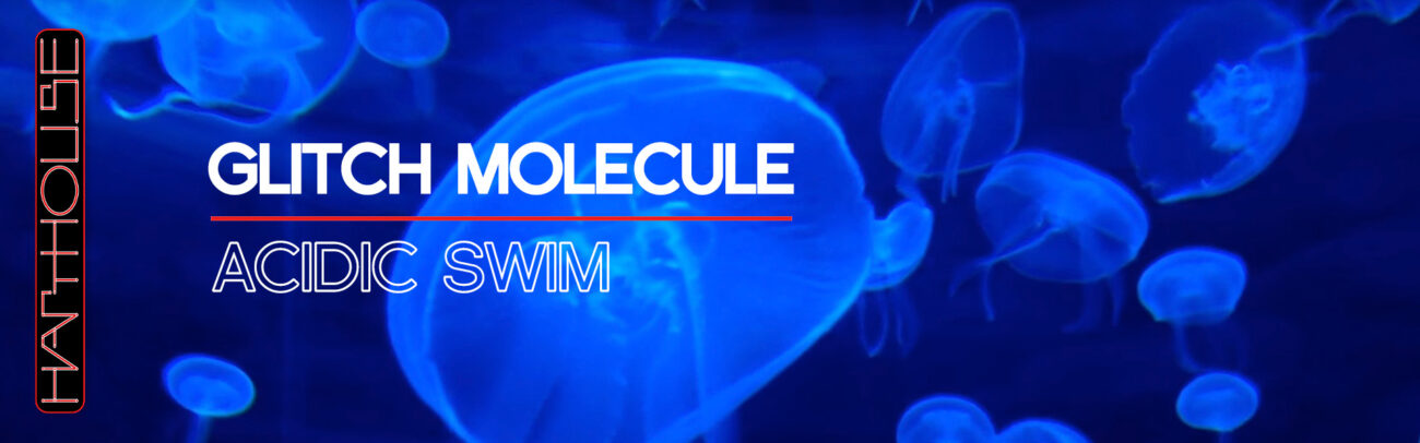 B VGlitch Module – Acid Swim