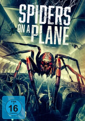 Spiders on a Plane