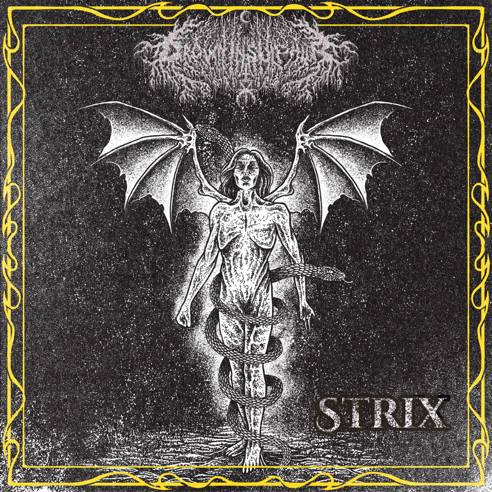 C Drown In Sulphur - Strix